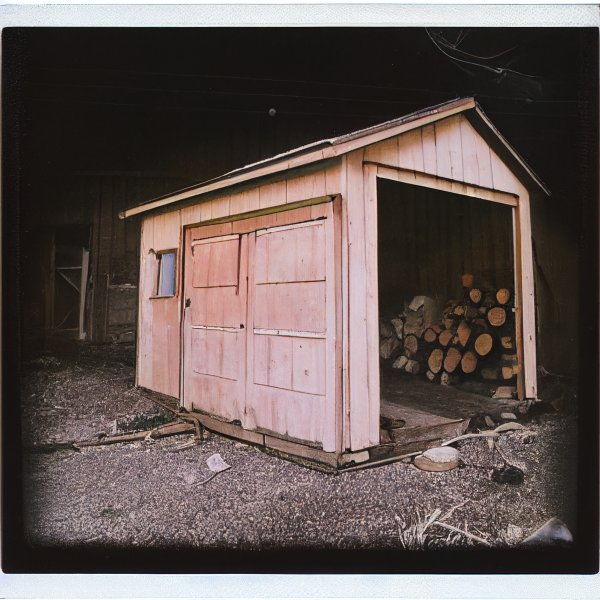 polaroid